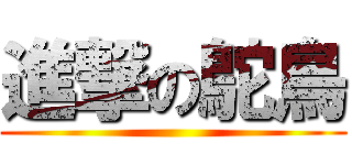 進撃の鴕鳥 ()