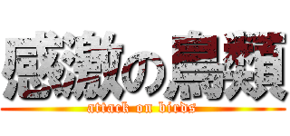 感激の鳥類 (attack on birds)