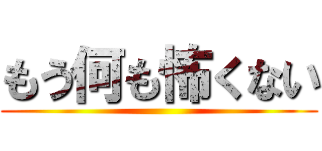 もう何も怖くない ()
