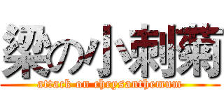 梁の小刺菊 (attack on chrysanthemum)