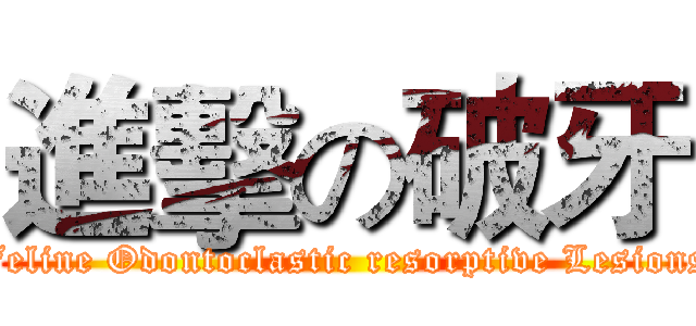 進擊の破牙 (Feline Odontoclastic resorptive Lesions)