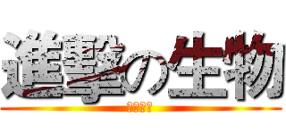 進擊の生物 (生存擂台)