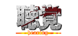 聴覚 (hearing)