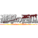 進撃の西瓜 (attack on ZELO)