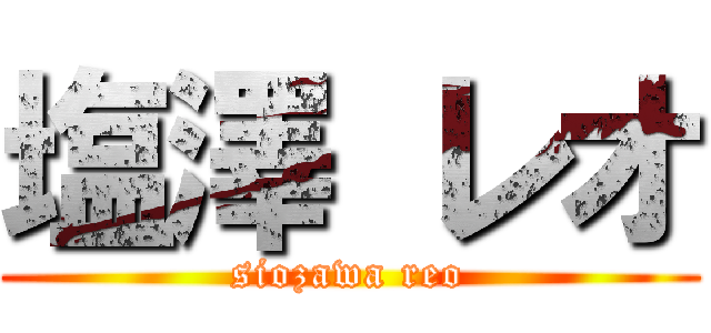 塩澤 レオ (siozawa reo)