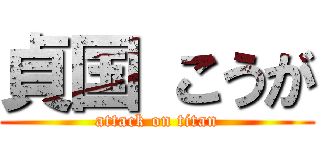 貞国 こうが (attack on titan)