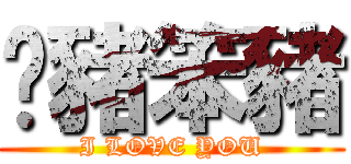 傻豬笨豬 (I LOVE YOU)