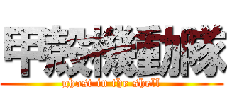 甲殻機動隊 (ghost in the shell)