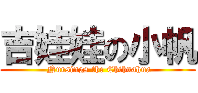 吉娃娃の小帆 ( Nursings the Chihuahua)