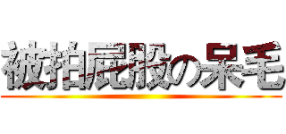 被拍屁股の呆毛 ()