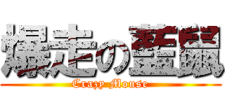爆走の藍鼠 (Crazy Mouse)