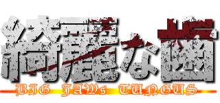 綺麗な歯 (BIG  JAWs  TUNGUS)