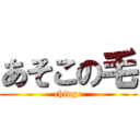 あそこの毛 (chinge)
