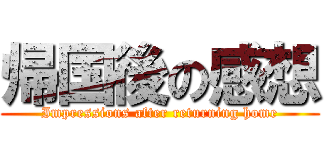 帰国後の感想 (Impressions after returning home)