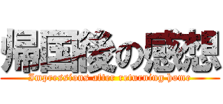 帰国後の感想 (Impressions after returning home)