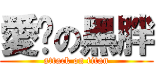 愛你の黑胖 (attack on titan)