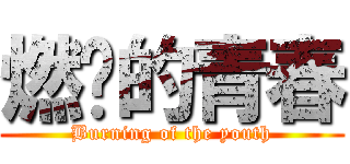 燃烧的青春 (Burning of the youth)