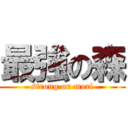 最強の森 (strong on mori)