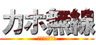 カホ無線 (デジタル専門店)