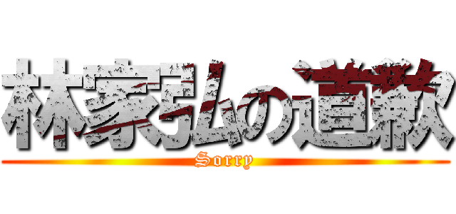 林家弘の道歉 (Sorry)