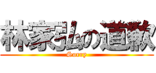 林家弘の道歉 (Sorry)