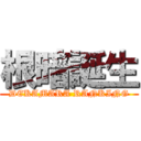 根暗誕生 (DEKAMARA RANKING)