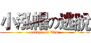 小泓帽の逃脫 (escape on Tim)