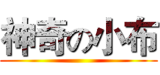 神奇の小布 ()