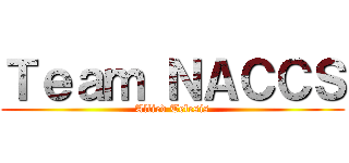 Ｔｅａｍ ＮＡＣＣＳ (Allied Telesis)
