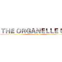ＴＨＥ ＯＲＧＡＮＥＬＬＥ ＯＦ (C.E.L.L.S.)