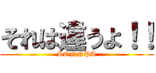 それは違うよ！！ (RONNPA)