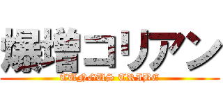 爆増コリアン (TUNGUS TRIBE)
