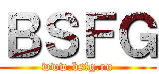ＢＳＦＧ (www.bsfg.ru)