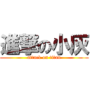 進撃の小灰 (attack on titan)