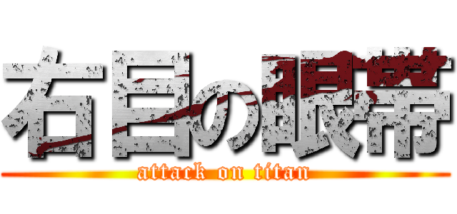 右目の眼帯 (attack on titan)