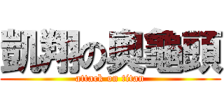 凱翔の奧龜頭 (attack on titan)