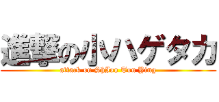 進撃の小ハゲタカ (attack on ShIou Tou Ying)