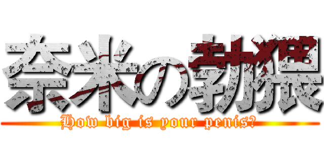 奈米の勃猥 (How big is your penis?)