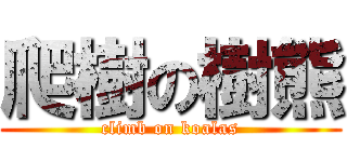 爬樹の樹熊 (climb on koalas)