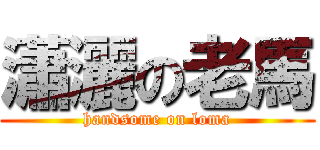 瀟灑の老馬 (handsome on loma)