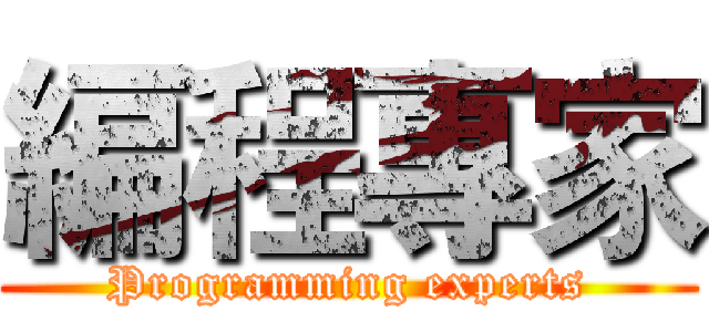 編程專家 (Programming experts)