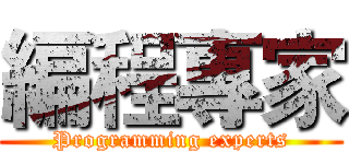 編程專家 (Programming experts)