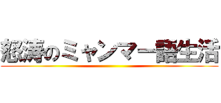 怒涛のミャンマー語生活 ()