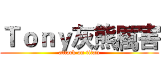 Ｔｏｎｙ灰熊厲害 (attack on titan)
