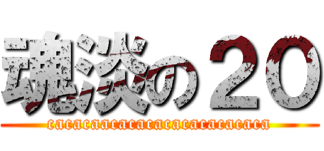 魂淡の２０ (cacacaacacacacacacacacaca)