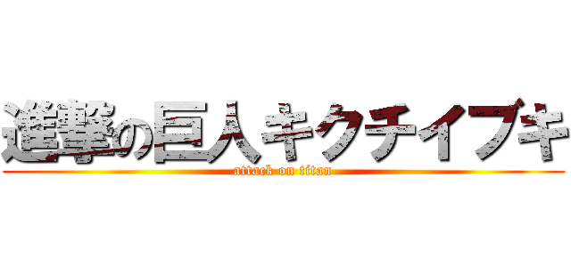 進撃の巨人キクチイブキ (attack on titan)