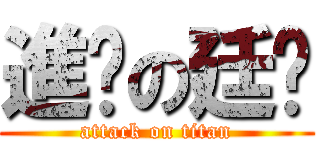 進擊の廷ㄟ (attack on titan)