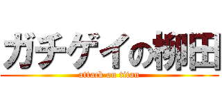 ガチゲイの柳田 (attack on titan)