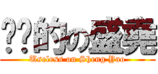 偷雞的の盛堯 (Useless on Sheng Yao)