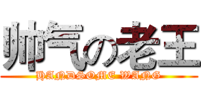 帅气の老王 (HANDSOME WANG)